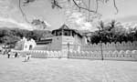 Constitutional Reforms and the Protection of Buddhism in Sri Lanka
