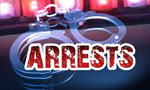 SL born Briton arrested at BIA