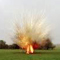 Landmine blast in Muhamalai; one killed