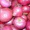 The big onion stink