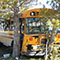 Bus crash injures 20 garment workers