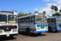 Owners to rise against painting buses in blue 