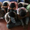 Cell busted but LTTE men still in TN-Police