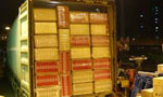 Excise seize illicit fags worth over Rs.60mn in Mattakkuliya