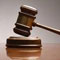 Arrested principal released on bail