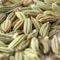 Cumin seeds found to be mixed with abortifacients