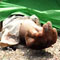 Embankment collapses; one worker killed