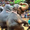 Zoo staff want jumbo dance back