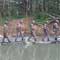 Photos: Earth mound collapse on soldiers