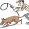 Dogs removed from BMICH premises to avoid disturbance