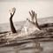 French national drowns off Hikkaduwa