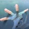 Two students drown