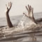 Twins drown