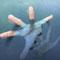 Swiss national drowned