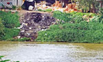 Nine women arrested for polluting Kelani River