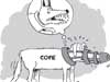 Editorial - COPE: Prevention needs to follow revelation