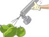 Carbide in fruits and slow food poisoning of our people -  Editorial