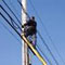 Philippine national electrocuted