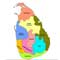 More contenders seeking CM’s post in East