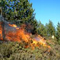 Fire at Himbiliyakada forest reserve