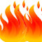 167 poll cards up in smoke