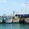Thirty more Indian fishermen arrested