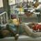 SL tourists taken ill after breakfast in India