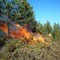 Fire in Maduru-Oya National Park