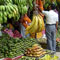 75,000 kilos of fruits seized at Manning Market