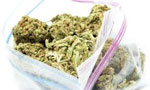 Narcotics worth about Rs. 2.5 crore seized