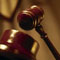 Notice issued on Vajira Nettikumara