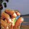 Rain drains gems in Kantale