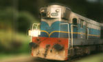 Richmond College student run over by train