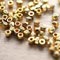 Two Lankans nabbed with 29 gold nuggets