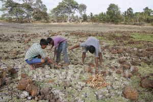 Puttalam running dry