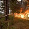 Air Force assists to douse wild fire