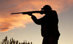 Hunter dies in Yala raid