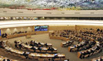 Video: Resolution on SL adopted without a vote