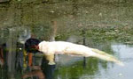 Body found in Lunawa Lagoon