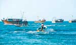 Illegal fishing by Tamil Nadu fishermen - Gone  with the  trawlers