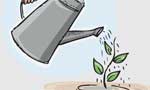 Eco-education and eco-spirituality - EDITORIAL