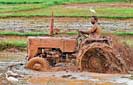 Policy reforms for a productive agriculture sector in Sri Lanka