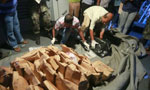 Maldives frees three accused of hiring SL sniper