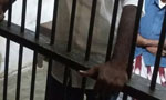 Five Kegalle Prison inmates escape