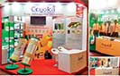 Ceyoka showcases nextgen insulation and water proofing products