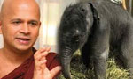 Ven. Uduwe Dhammaloka Thera arrested