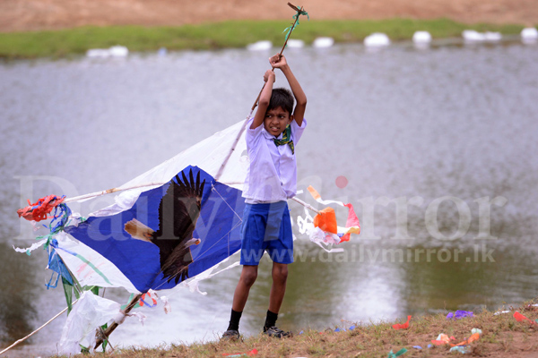 Kites at Shangri-La