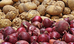 Commodity tax on potatoes, big onions increased by Rs. 20 per kilo