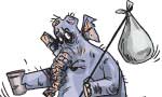 The voice from the wilderness - EDITORIAL