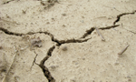 Minor tremor felt in Balangoda